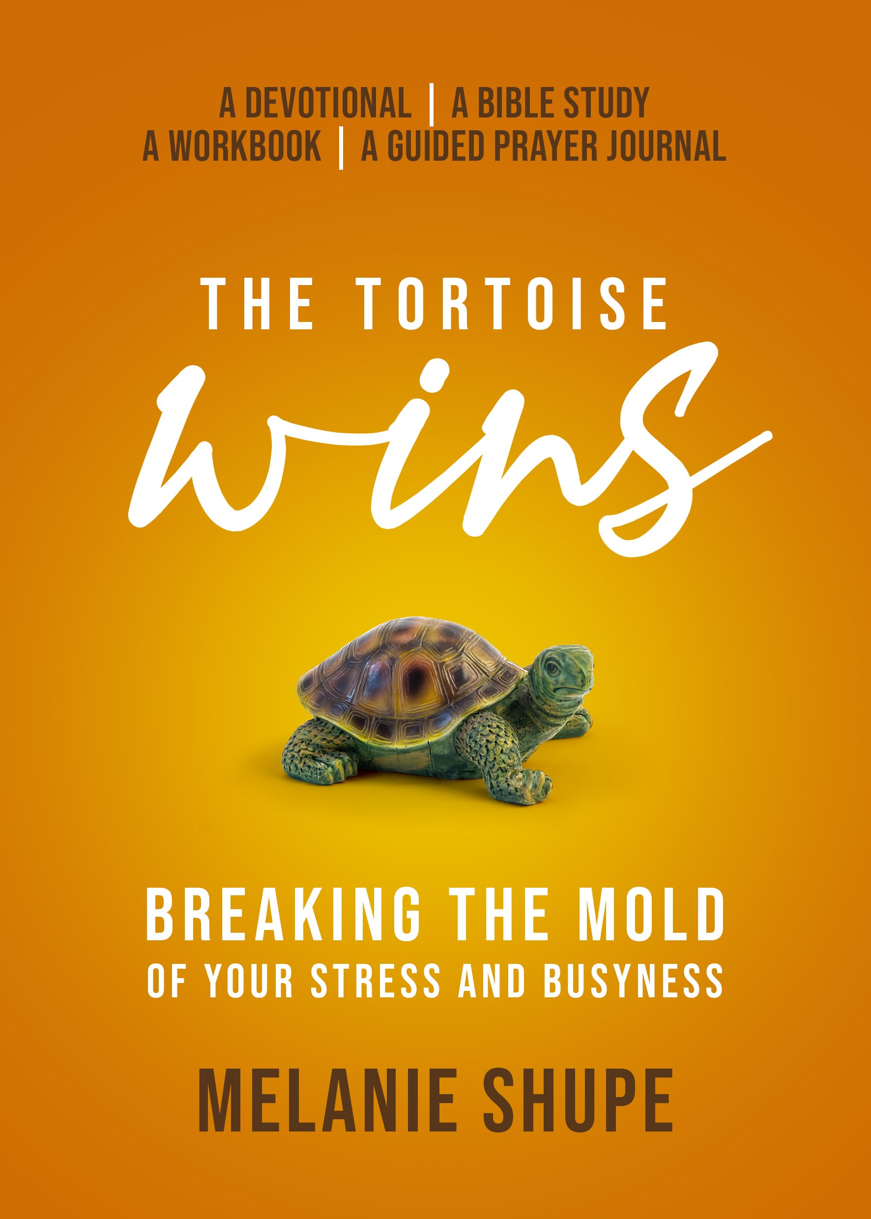 The Tortoise Wins: Breaking the Mold of Your Stress and Busyness