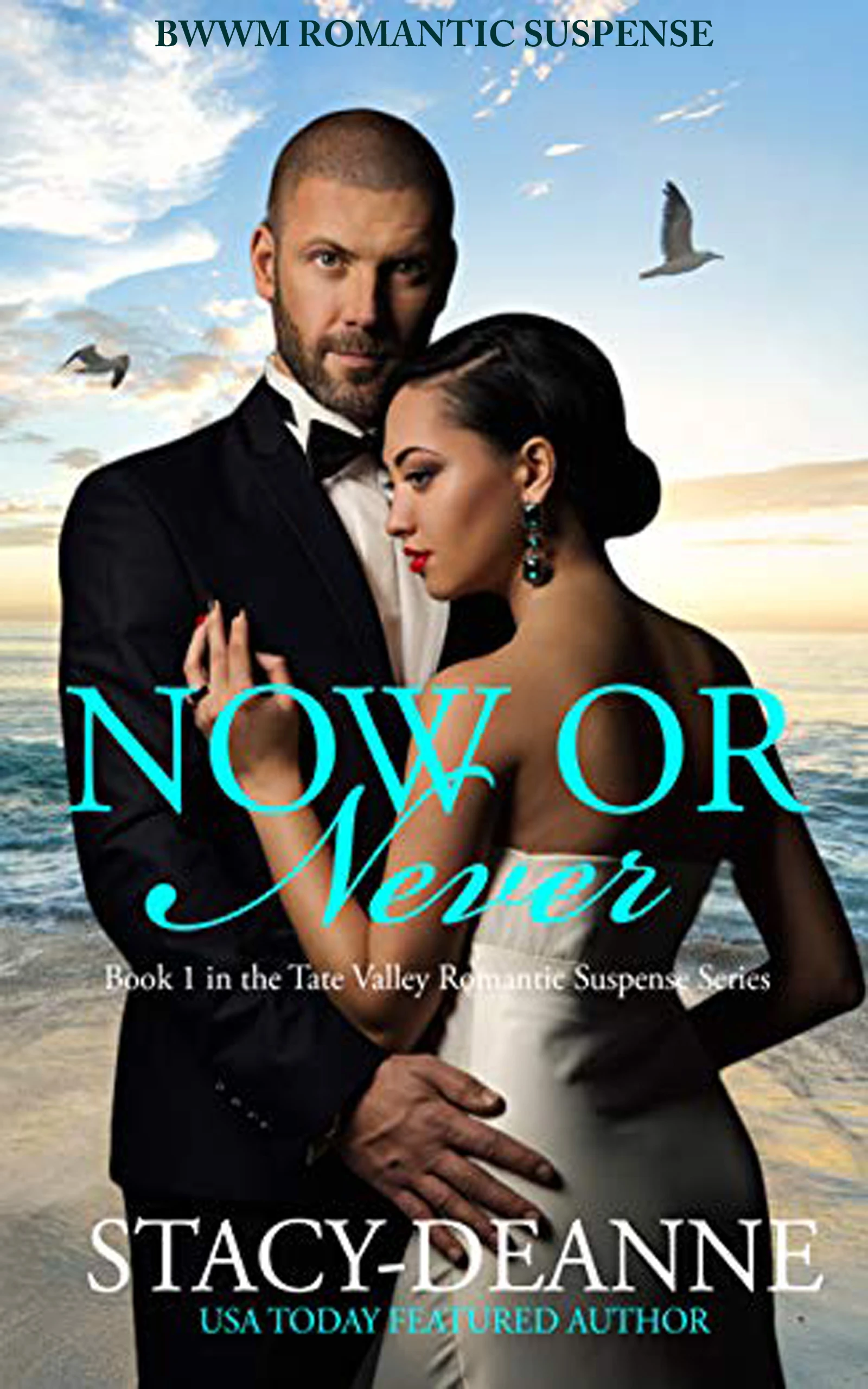Now or Never (Tate Valley Romantic Suspense Series Book 1)